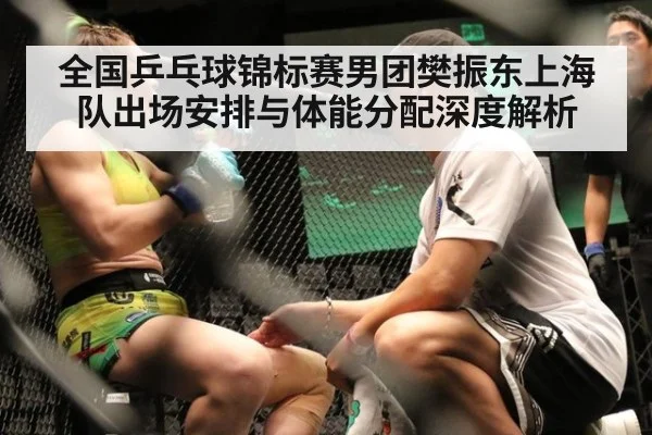 全国乒乓球锦标赛男团樊振东上海队出场安排与体能分配深度解析